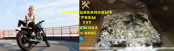кокс Арсеньев