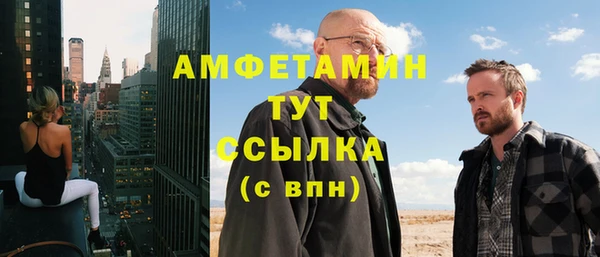 шишки Аркадак