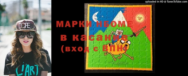 шишки Аркадак