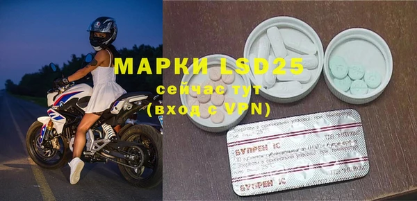 шишки Аркадак