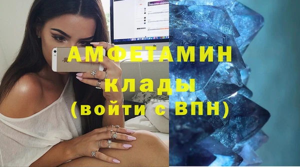 шишки Аркадак