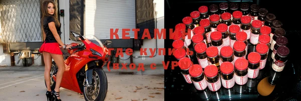 шишки Аркадак