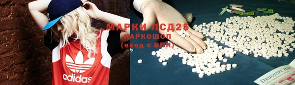 шишки Аркадак