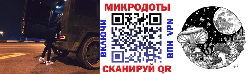 Купить где  Камышлов  Псилоцибиновые грибы Psilocybe 